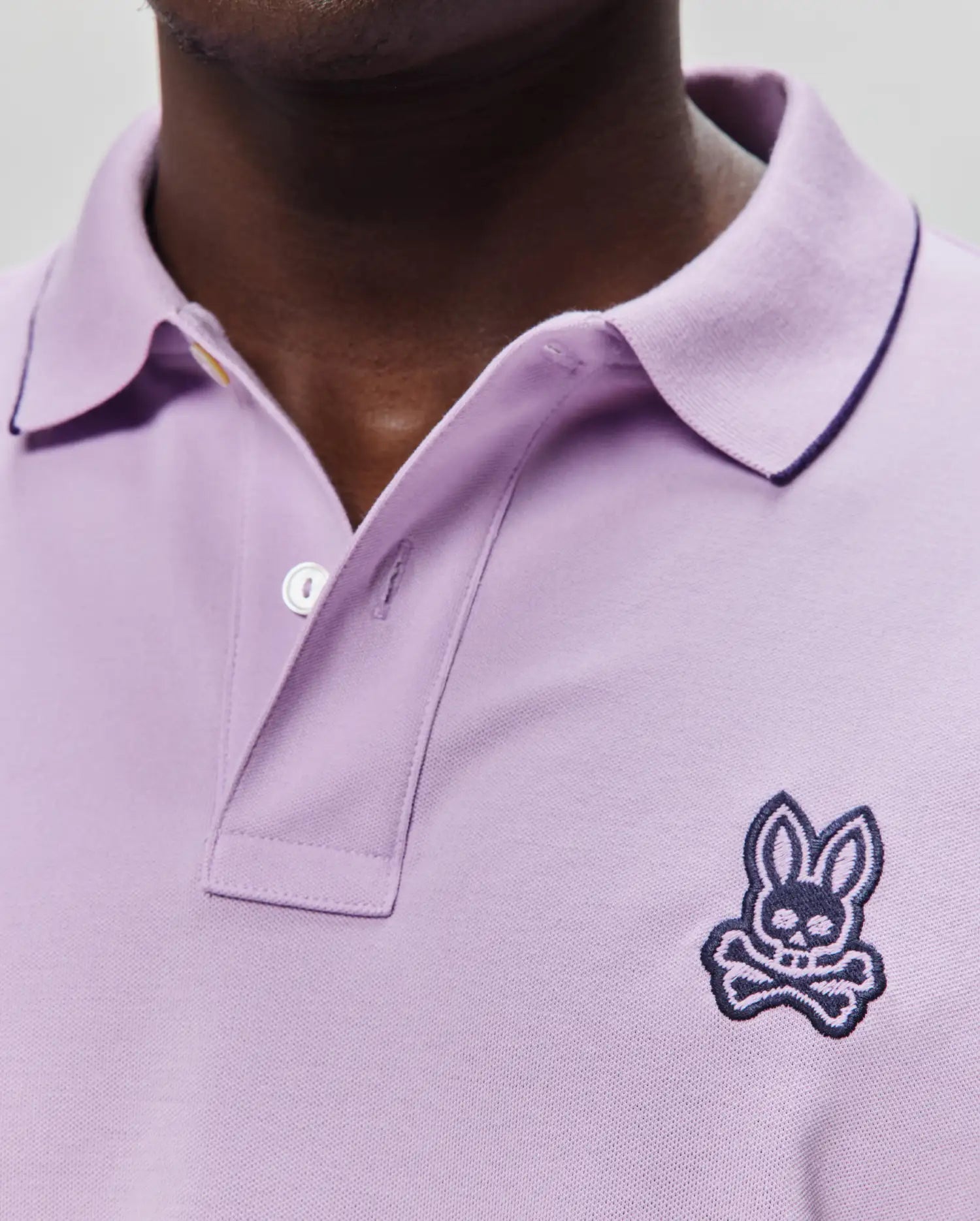 MT0100260-LAVENDULA_2.jpg