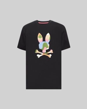 Mens ara graphic tee